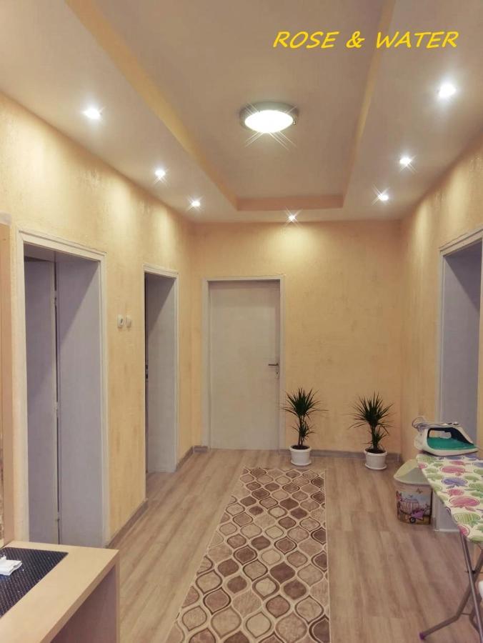 Rose & Water Guest House Pavel Banea Exterior foto