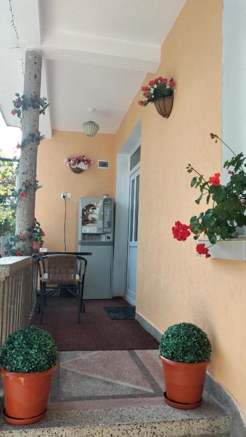 Rose & Water Guest House Pavel Banea Exterior foto